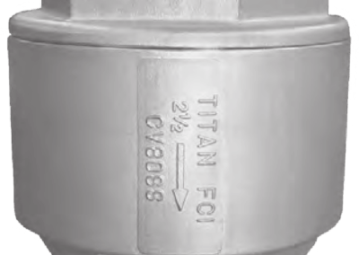 Check Valve – SS – NPT – Class 300 – CV80