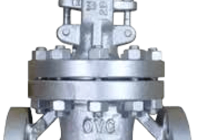 Carbon Steel 300 Gate Valve Series – CS300GT