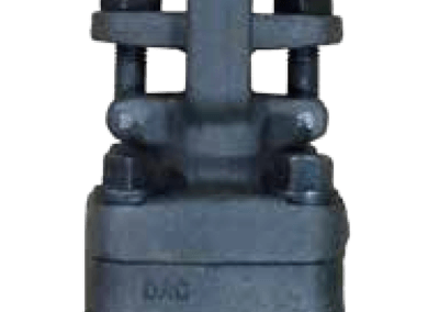 Forge Steel Gate Valve Series – GA800TE/SW