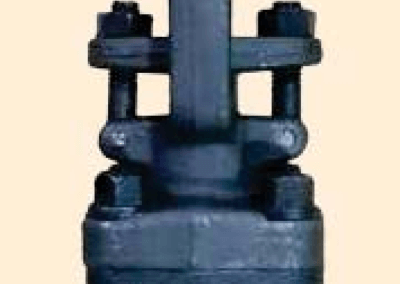 Forge Steel Globe Valve GL800SWTE-DS