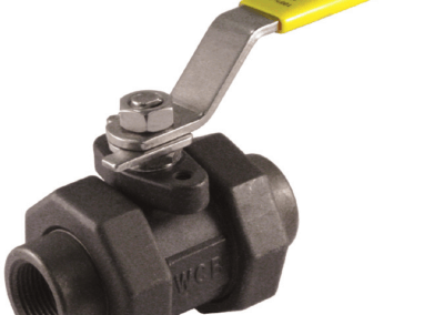 5-Piece Union Body Ball Valve – CS